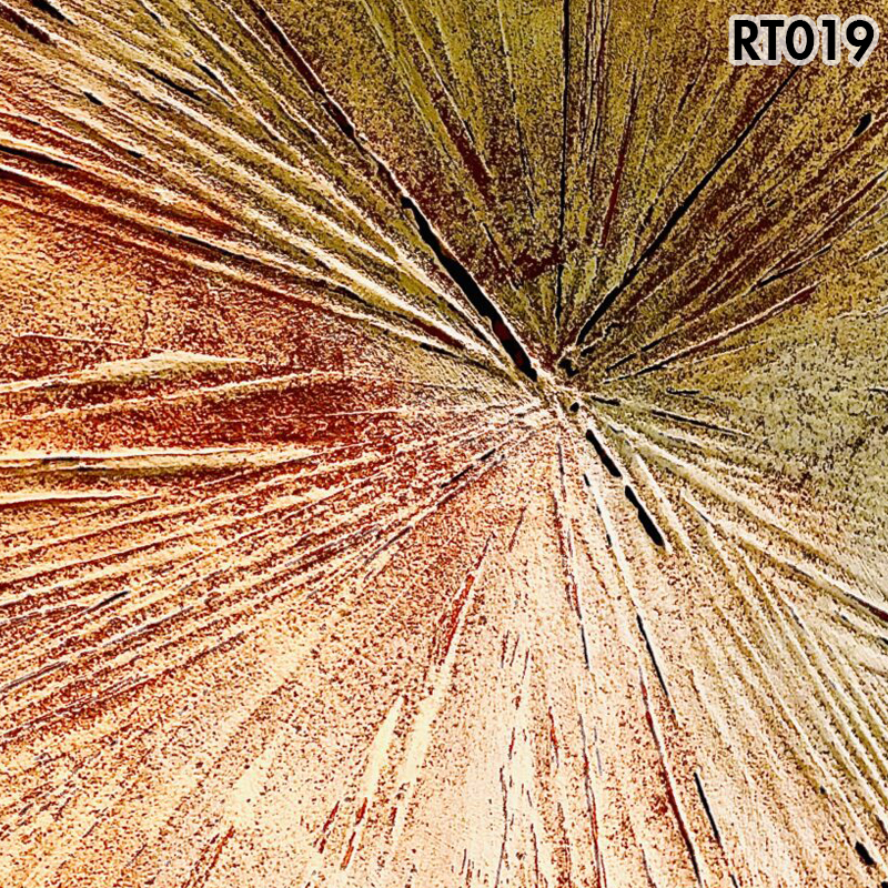 RT019