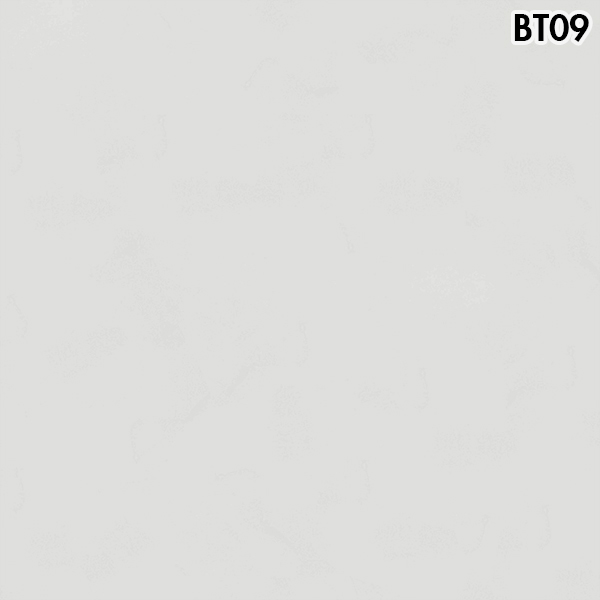 Sơn hiệu ứng bê tông Waldo Sonate BT09